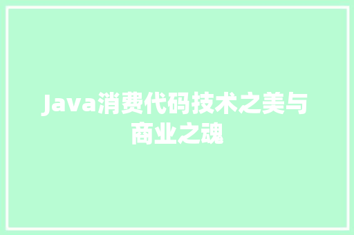 Java消费代码技术之美与商业之魂