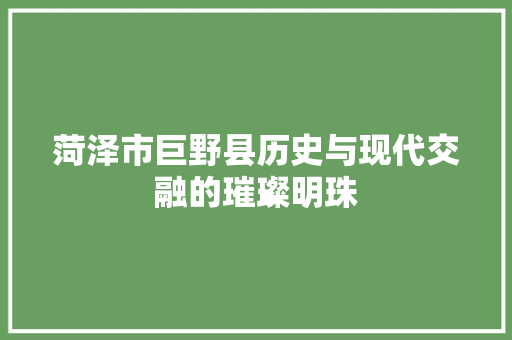 菏泽市巨野县历史与现代交融的璀璨明珠