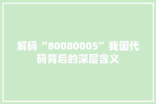 解码“80080005”我国代码背后的深层含义