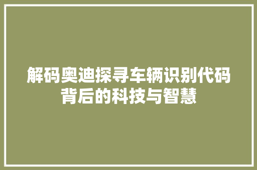 解码奥迪探寻车辆识别代码背后的科技与智慧