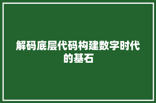 解码底层代码构建数字时代的基石