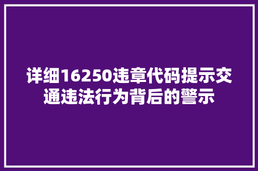 详细16250违章代码提示交通违法行为背后的警示