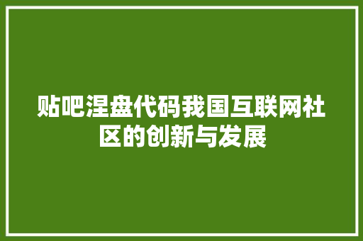 贴吧涅盘代码我国互联网社区的创新与发展