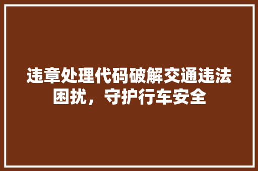 违章处理代码破解交通违法困扰，守护行车安全