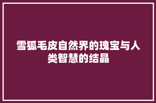 雪狐毛皮自然界的瑰宝与人类智慧的结晶