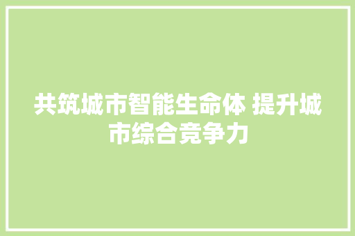 共筑城市智能生命体 提升城市综合竞争力