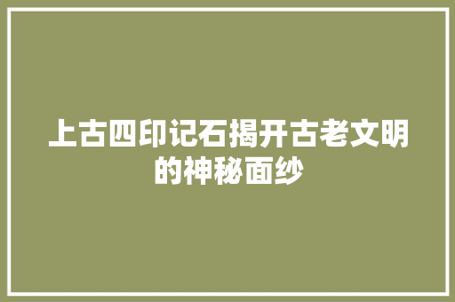 上古四印记石揭开古老文明的神秘面纱