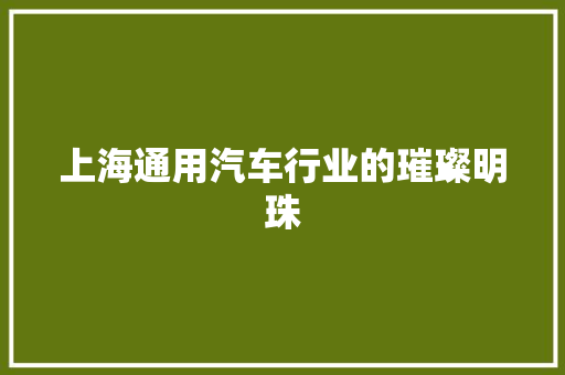 上海通用汽车行业的璀璨明珠