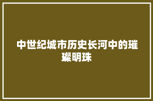 中世纪城市历史长河中的璀璨明珠