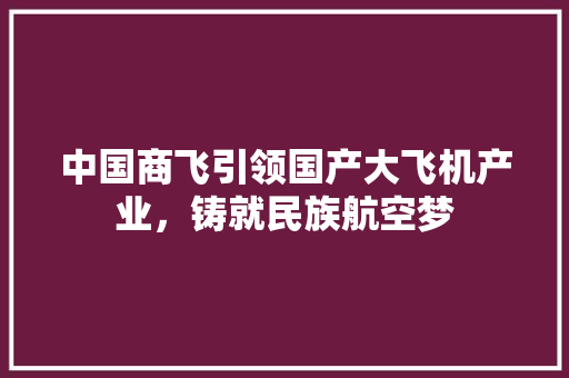 中国商飞引领国产大飞机产业，铸就民族航空梦