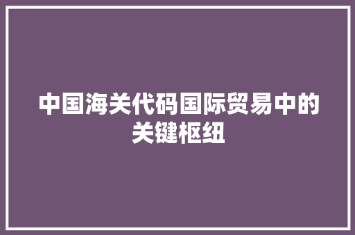 中国海关代码国际贸易中的关键枢纽