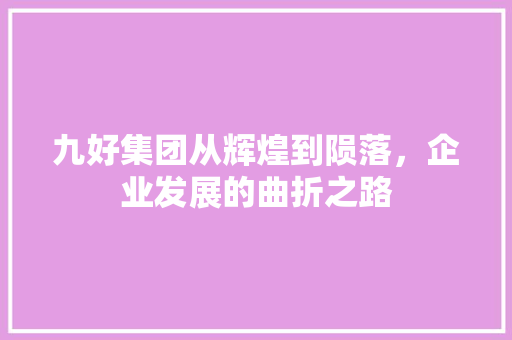 九好集团从辉煌到陨落，企业发展的曲折之路