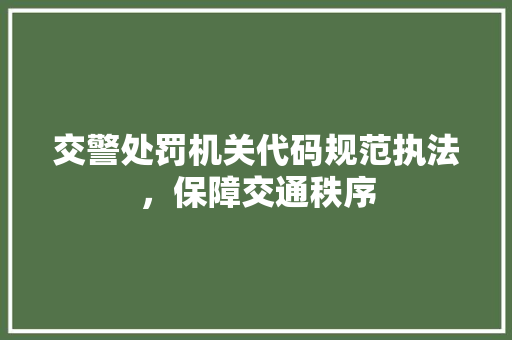 交警处罚机关代码规范执法，保障交通秩序