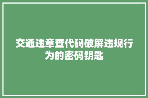 交通违章查代码破解违规行为的密码钥匙