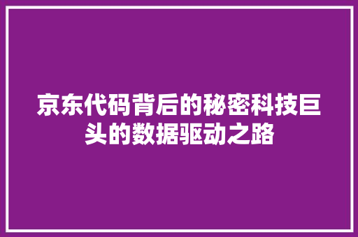 京东代码背后的秘密科技巨头的数据驱动之路