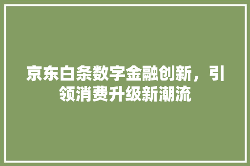 京东白条数字金融创新，引领消费升级新潮流