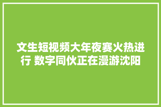 文生短视频大年夜赛火热进行 数字同伙正在漫游沈阳