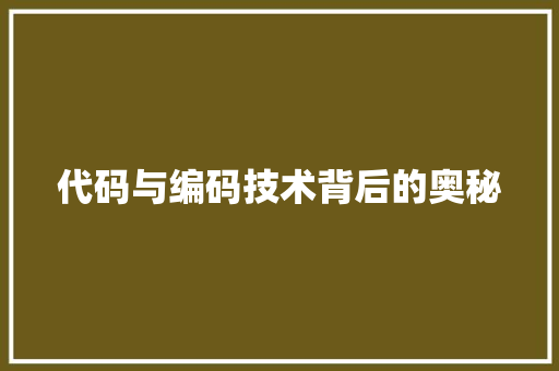 代码与编码技术背后的奥秘