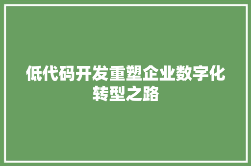 低代码开发重塑企业数字化转型之路