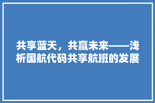 共享蓝天，共赢未来——浅析国航代码共享航班的发展与展望