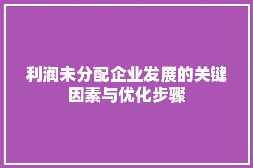 利润未分配企业发展的关键因素与优化步骤