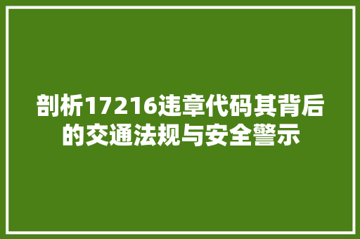 剖析17216违章代码其背后的交通法规与安全警示