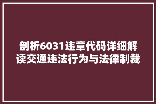 剖析6031违章代码详细解读交通违法行为与法律制裁