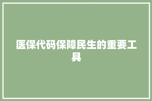 医保代码保障民生的重要工具