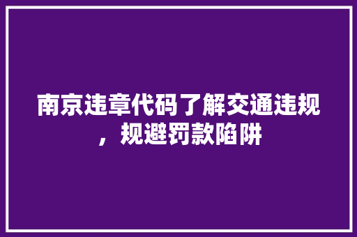 南京违章代码了解交通违规，规避罚款陷阱