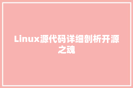 Linux源代码详细剖析开源之魂