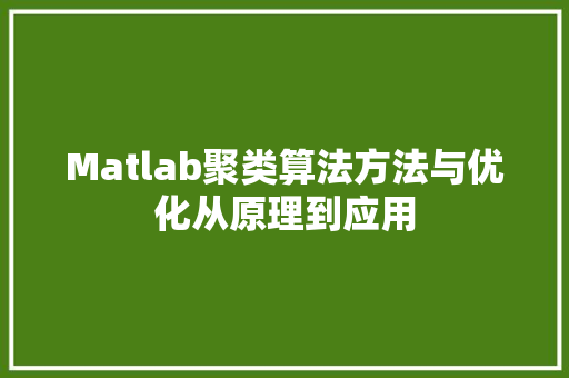 Matlab聚类算法方法与优化从原理到应用