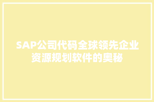 SAP公司代码全球领先企业资源规划软件的奥秘