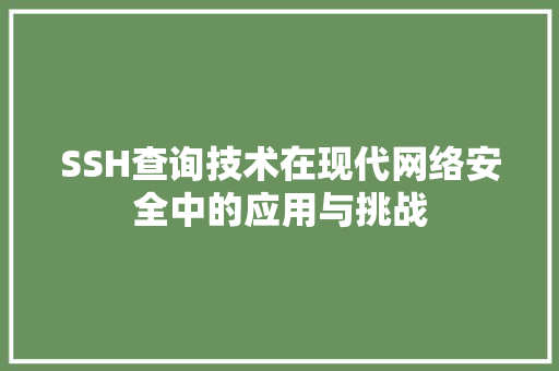 SSH查询技术在现代网络安全中的应用与挑战