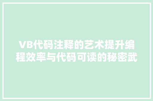 VB代码注释的艺术提升编程效率与代码可读的秘密武器