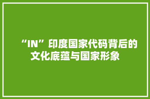 “IN”印度国家代码背后的文化底蕴与国家形象