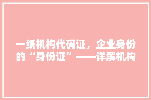 一纸机构代码证，企业身份的“身份证”——详解机构代码证办理流程与意义