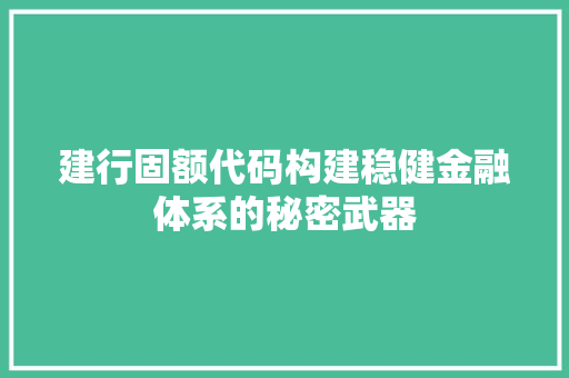 建行固额代码构建稳健金融体系的秘密武器