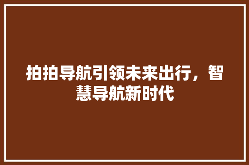 拍拍导航引领未来出行，智慧导航新时代