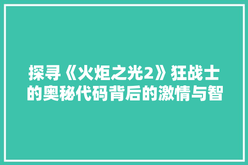 探寻《火炬之光2》狂战士的奥秘代码背后的激情与智慧