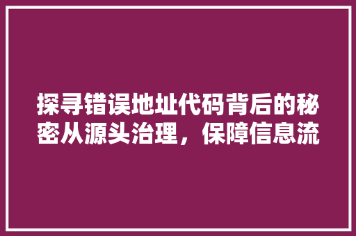 探寻错误地址代码背后的秘密从源头治理，保障信息流通安全