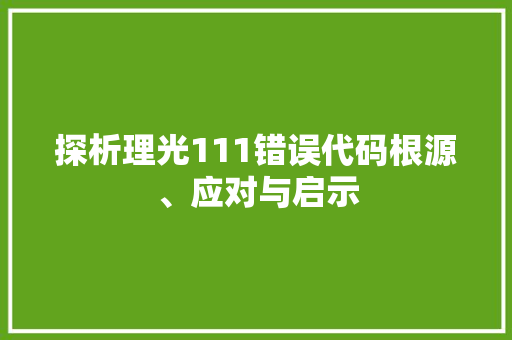 探析理光111错误代码根源、应对与启示