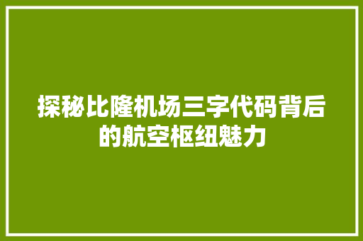 探秘比隆机场三字代码背后的航空枢纽魅力