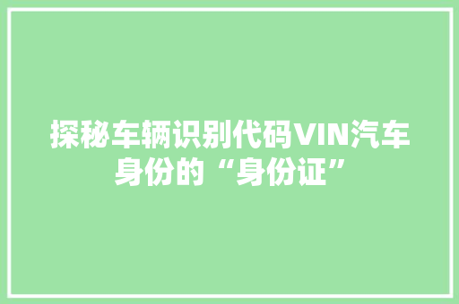 探秘车辆识别代码VIN汽车身份的“身份证”