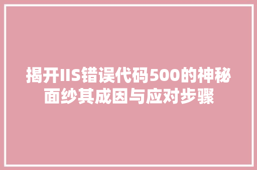 揭开IIS错误代码500的神秘面纱其成因与应对步骤