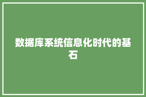 数据库系统信息化时代的基石