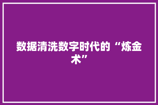 数据清洗数字时代的“炼金术”