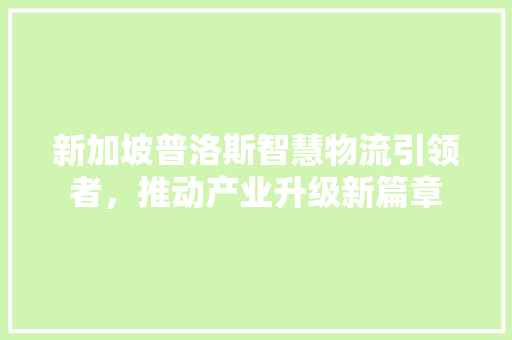 新加坡普洛斯智慧物流引领者，推动产业升级新篇章