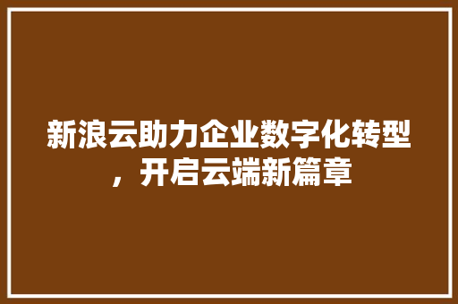 新浪云助力企业数字化转型，开启云端新篇章