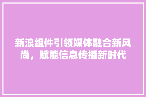 新浪组件引领媒体融合新风尚，赋能信息传播新时代