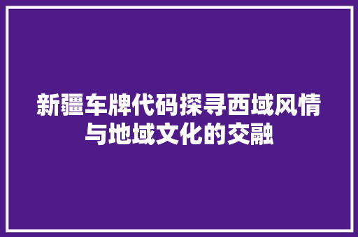 新疆车牌代码探寻西域风情与地域文化的交融